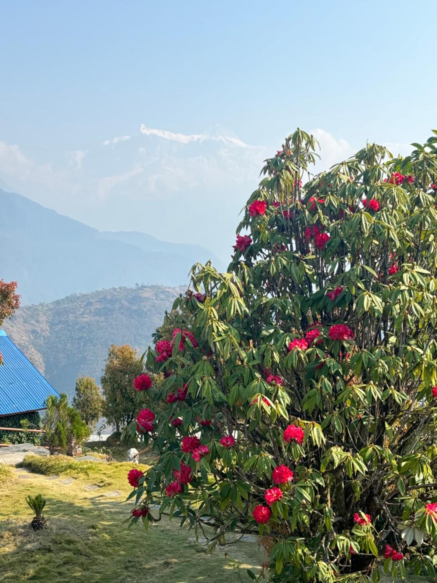 Es Deurali Resort Pokhara Exterior photo